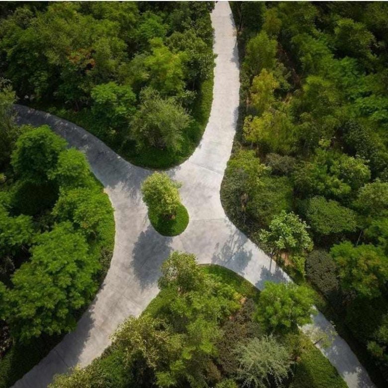 Allée piétonne arborée au sein du projet résidentiel Masaar 3