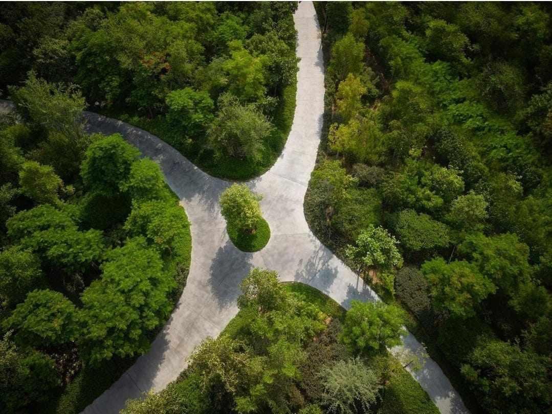 Allée piétonne arborée au sein du projet résidentiel Masaar 3